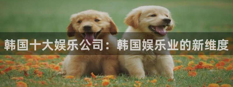 星辉平台哪个游戏好爆：韩国十大娱乐公司：韩国娱乐业的新维度