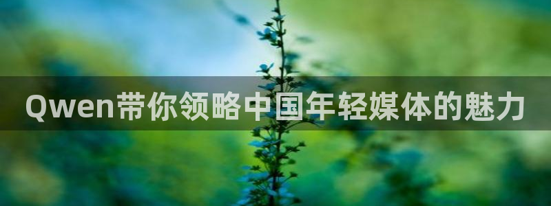 星辉平台.com：Qwen带你领略中国年轻媒体的魅力