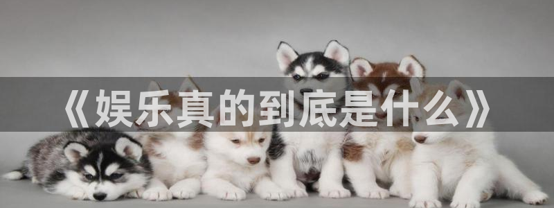 星辉平台网页版：《娱乐真的到底是什么》
