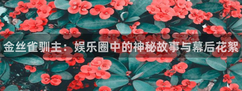 壹号大舞台：金丝雀驯主：娱乐圈中的神秘故事与幕后花絮