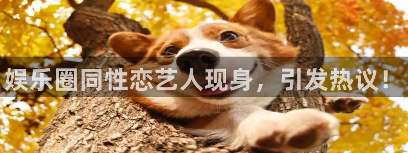 星辉平台游戏：娱乐圈同性恋艺人现身，引发热议！