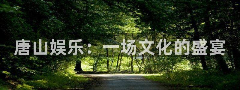 星辉平台ccmpc