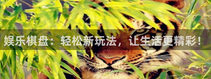 星辉平台路线1：娱乐棋盘：轻松新玩法，让生活更精彩！