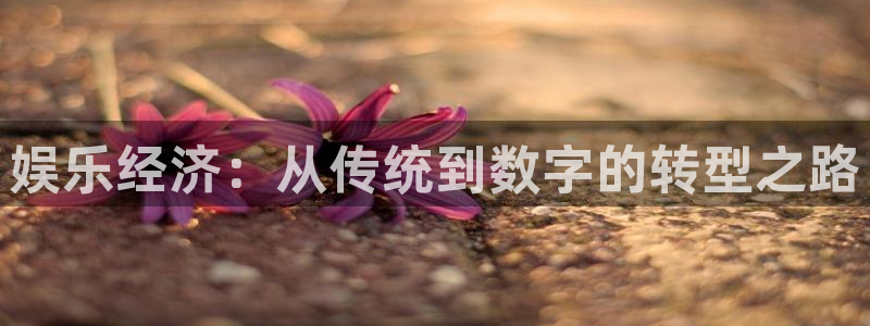 壹号大舞台下载链接：娱乐经济：从传统到数字的转型之路