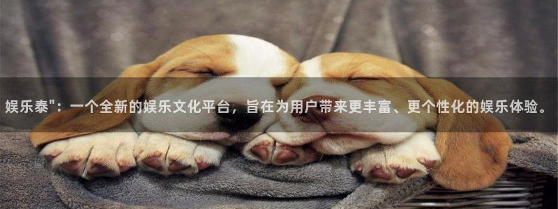 星辉平台注册链接：娱乐泰\
