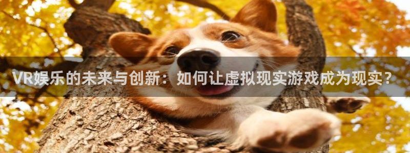 星辉平台官网地址：VR娱乐的未来与创新：如何让虚拟现实游戏成为现实？