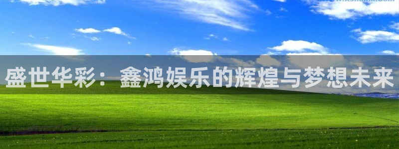 星辉平台注册平台：盛世华彩：鑫鸿娱乐的辉煌与梦想未来