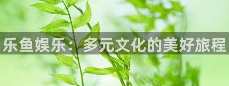 星辉平台app：乐鱼娱乐：多元文化的美好旅程