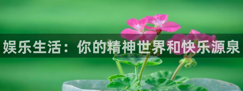 星辉平台,com：娱乐生活：你的精神世界和快乐源泉