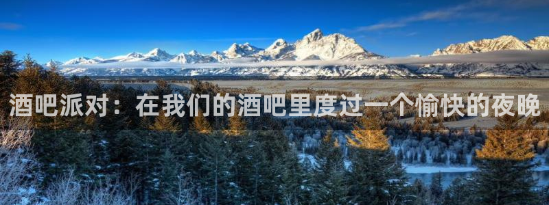 星辉平台.ccm：酒吧派对：在我们的酒吧里度过一个愉快的夜晚