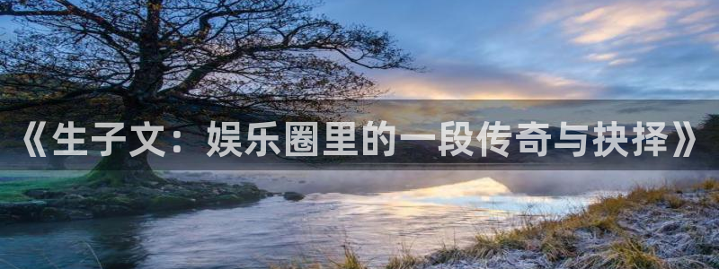 星辉平台com：《生子文：娱乐圈里的一段传奇与抉择》