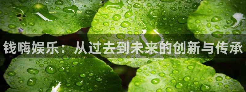 下载星辉平台app：钱嗨娱乐：从过去到未来的创新与传承