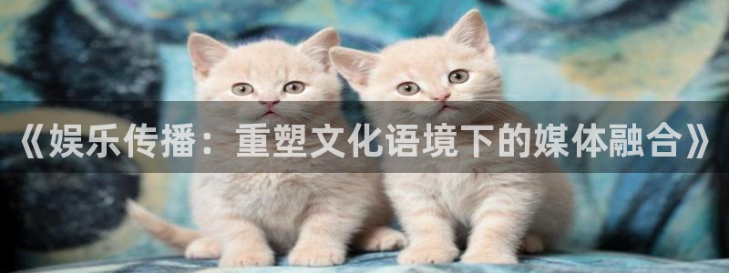 星辉平台平台官网版最新：《娱乐传播：重塑文化语境下的媒体融合》