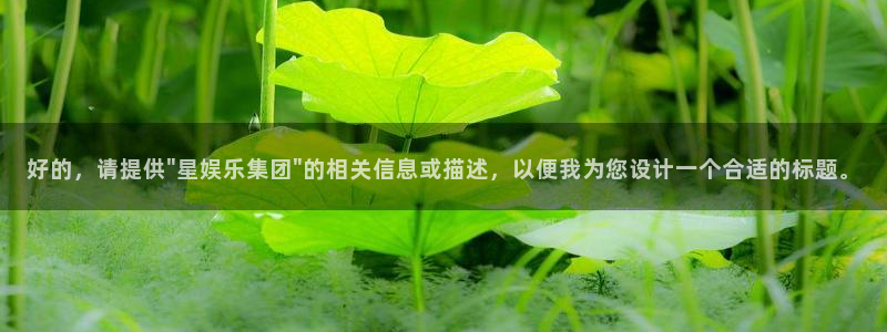 星辉平台登录网：好的，请提供\