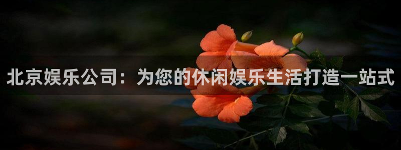 星辉平台app下载官网：北京娱乐公司：为您的休闲娱乐生活打造一站式