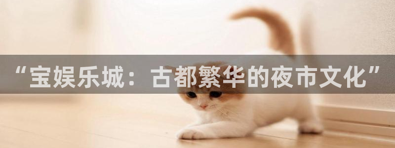 壹号app官网版下载：“宝娱乐城：古都繁华的夜市文化”