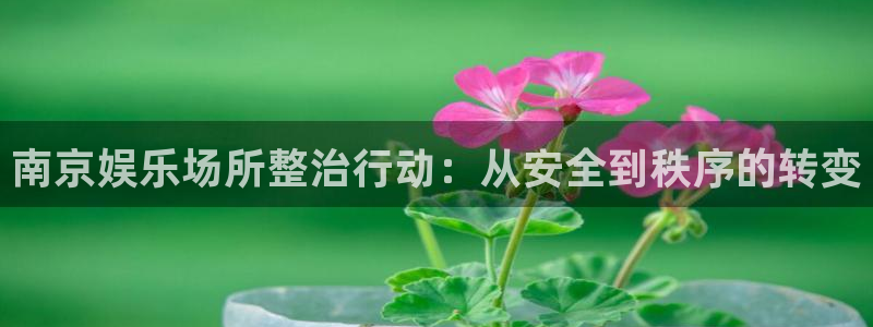 星辉平台下载入口：南京娱乐场所整治行动：从安全到秩序的转变