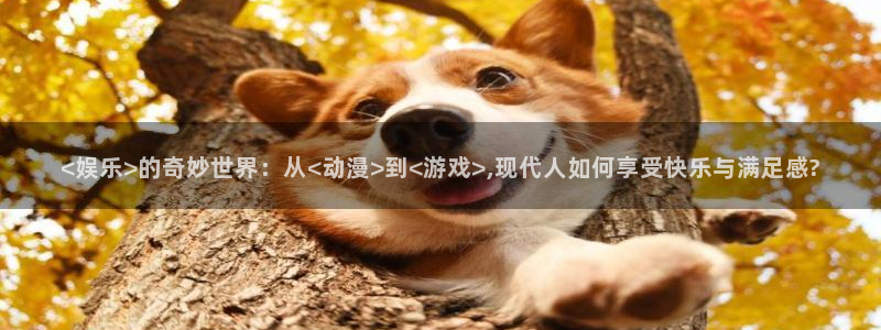 星辉平台注册网站链接：<娱乐>的奇妙世界：从<动漫>到<游戏>,现代人如何享受快乐与满足感?