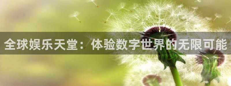 星辉平台官网版下载：全球娱乐天堂：体验数字世界的无限可能