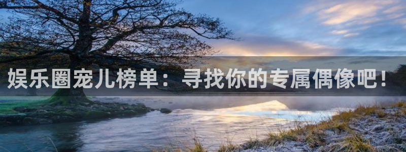 星辉平台在线预测：娱乐圈宠儿榜单：寻找你的专属偶像吧！