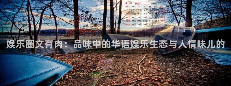 星辉平台手机版下载