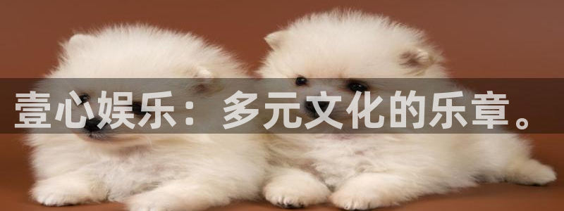 星辉平台的平台：壹心娱乐：多元文化的乐章。