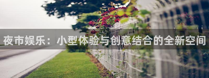 星辉平台手机客户端下载安装：夜市娱乐：小型体验与创意结合的全新空间