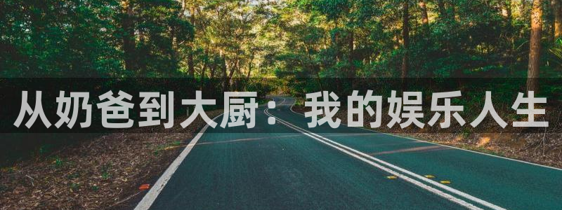 星辉平台app新版上线体验.游戏更新入口.中国：从奶爸到大厨：我的娱乐人生