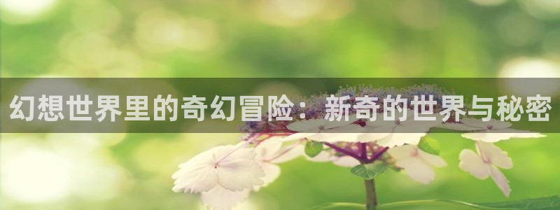 星辉平台在线预测：幻想世界里的奇幻冒险：新奇的世界与秘密