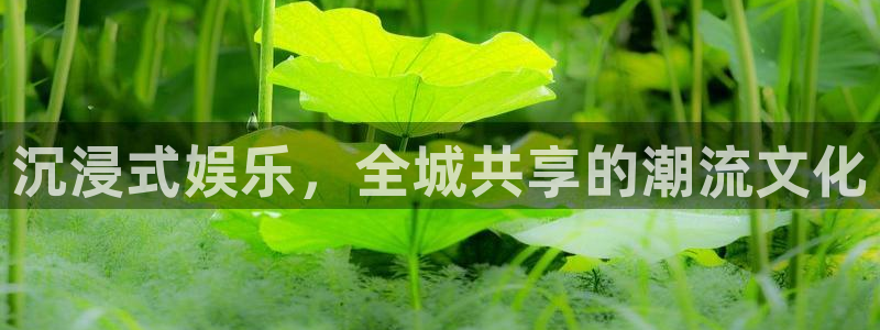 星辉平台平台官方网站：沉浸式娱乐，全城共享的潮流文化
