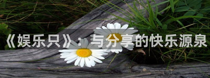 星辉平台平台官网入口下载：《娱乐只》：与分享的快乐源泉