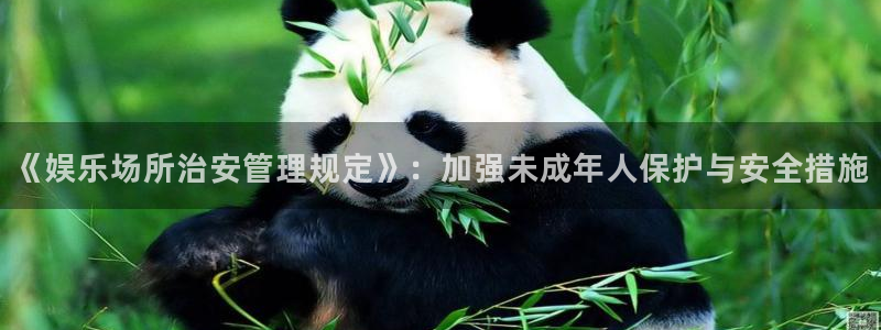 壹号大舞台入口：《娱乐场所治安管理规定》：加强未成年人保护与安全措施