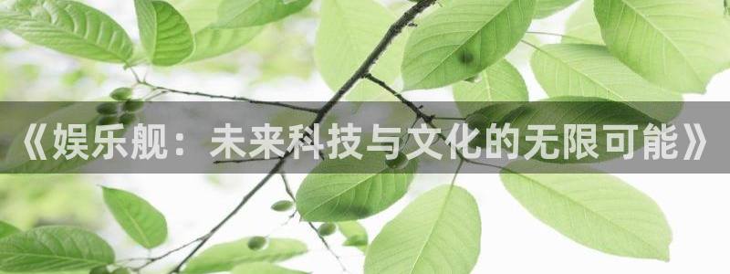 星辉平台app哪个模式容易赢：《娱乐舰：未来科技与文化的无限可能》